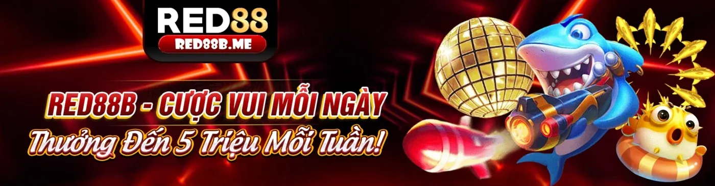 Cá Cược Thể Thao momo88 nhà cái