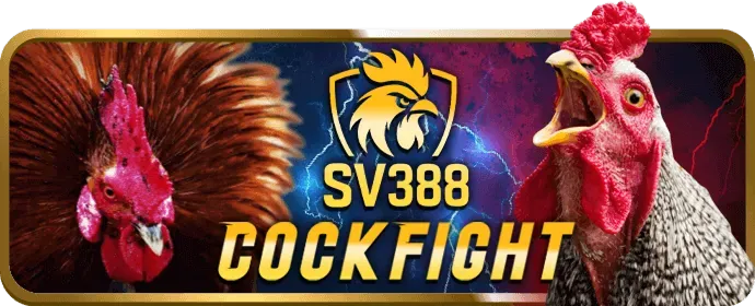 Bắn cá đổi thưởng momo88
